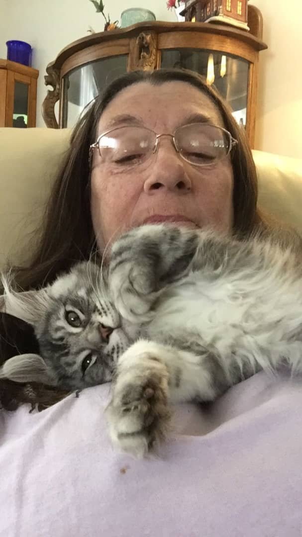 Happy Maine Coon Family